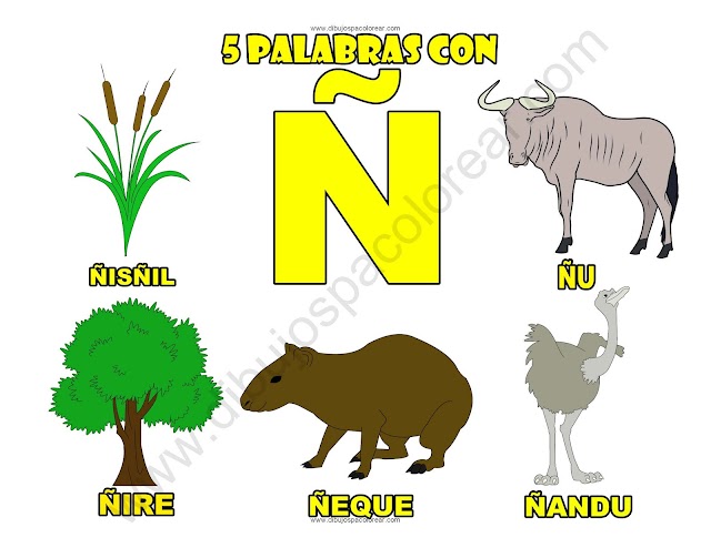 Cinco Palabras con la letra Ñ dibujo a color y para colorear